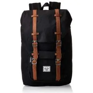 Лучшие варианты рюкзаков: рюкзак для ноутбука Herschel Little America