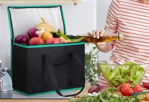 Лучшие изолированные продуктовые пакеты для доставки домой холодных продуктов