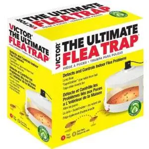 Лучшие варианты ловушек для блох: Victor Safer Brand M230A Ultimate Flea Trap