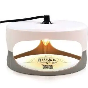 Лучшие варианты ловушек для блох: ASPECTEK - Trapest Sticky Dome Ловушка для блох с 2 клеевыми дисками