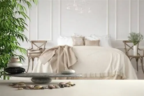 Улучшите фэн-шуй в доме
