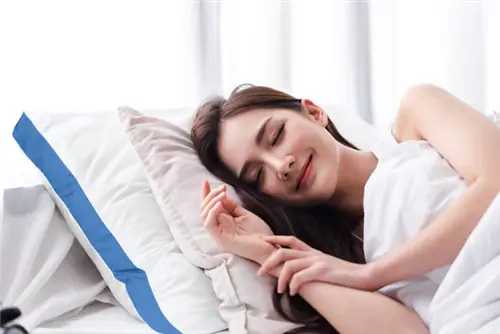 Лучшие варианты подушек королевского размера