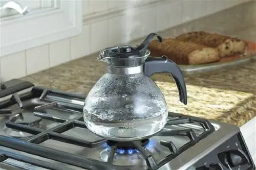 Лучшие чайники со свистком для вашей кухни