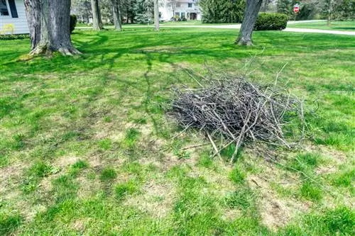 5 вещей в вашем дворе, которые нуждаются в освежении после зимы