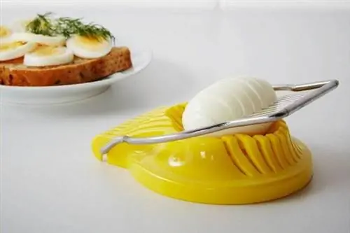 Лучший вариант яйцерезки