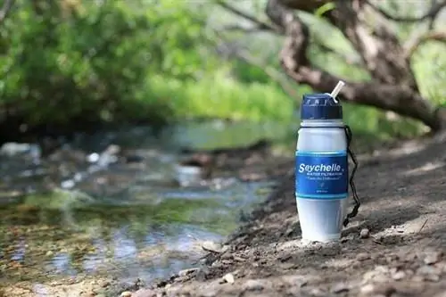 Лучший вариант бутылки с фильтром для воды