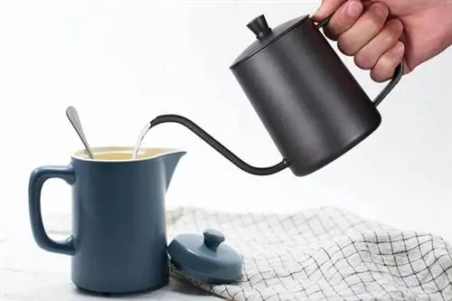 Лучшие варианты чайника с гусиной шеей