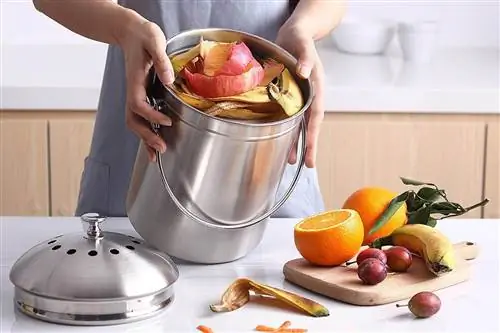 Лучшие контейнеры для компоста на столешнице для вашего дома
