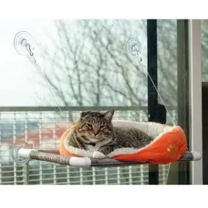 Лучшие варианты кошачьих кроватей: Kitty Cot Original Лучший в мире кошачий окунь Черный цвет ткани Лучшие варианты кошачьих кроватей: Kitty Cot Original Лучший в мире кошачий окунь Черный цвет ткани