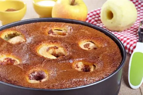 Лучшие варианты формы для торта