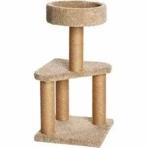 Лучший вариант кошачьего дерева: Amazon Basics Cat Activity Tree с когтеточкой Лучший вариант кошачьего дерева: Amazon Basics Cat Activity Tree с когтеточкой