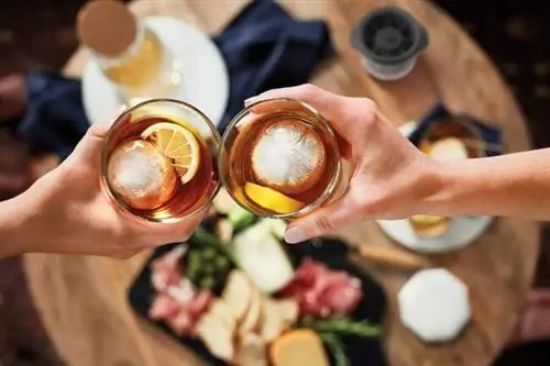 Лучшая форма для ледяных шариков