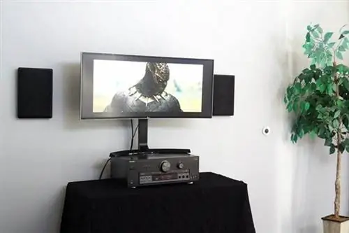 Лучший вариант настенных динамиков