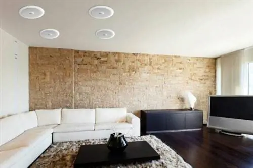 Лучший вариант настенных динамиков