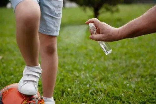 домашнее средство от комаров