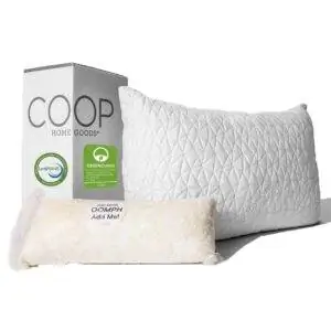 Лучший вариант гипоаллергенных подушек: Coop Home Goods - Регулируемая подушка-чердак премиум-класса