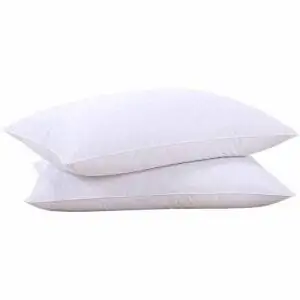 Лучший вариант перьевых подушек: puredown Natural Goose Down Feather White