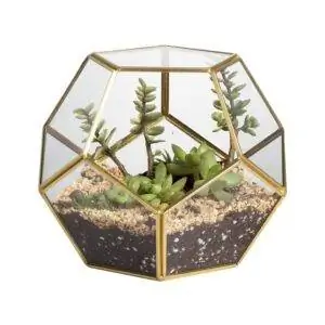 Лучший вариант террариума: геометрический террариум NCYP Gold Glass