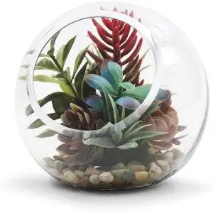 Лучший вариант для террариума: стеклянная ваза WGV Slant Cut Bowl Glass Vase