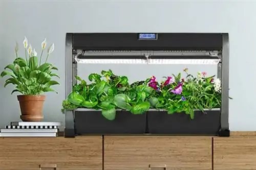 Лучшие варианты AeroGarden