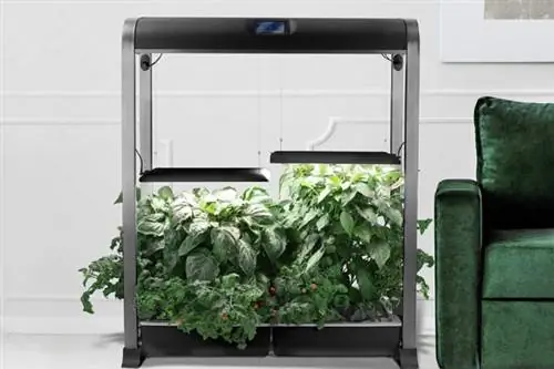 Лучшие варианты AeroGarden