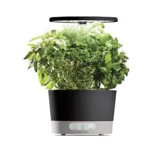 Лучший вариант AeroGarden: крытый гидропонный сад AeroGarden Harvest 360