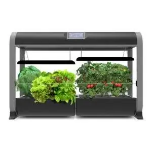 Лучший вариант AeroGarden: AeroGarden Farm 24Basic, набор семян салатного батончика