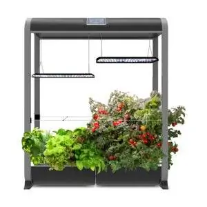 Лучший вариант AeroGarden: AeroGarden Farm 24XL с набором семян для салатного батончика