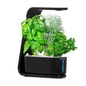 Лучший вариант AeroGarden: AeroGarden Sprout