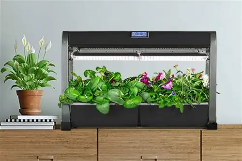 Лучший AeroGarden для вашего сада в помещении