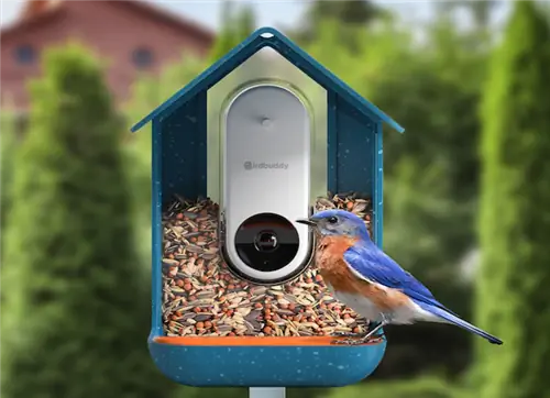 кормушка для птиц Bird buddy с камерой
