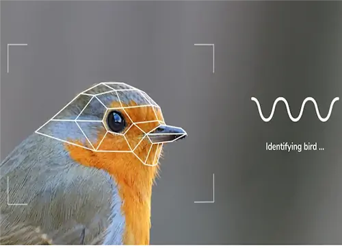 кормушка для птиц Bird buddy с камерой