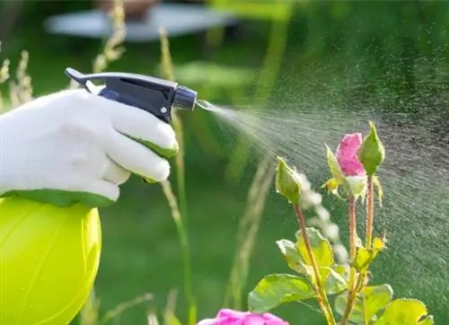 как избавиться от белокрылки