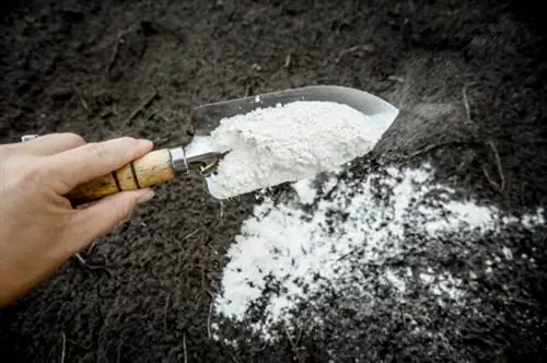 Сделай сам почву для горшков - садовник смешивает порошок доломитового известняка с садовой почвой, чтобы изменить рН и обеспечить больше питательных веществ для растений.