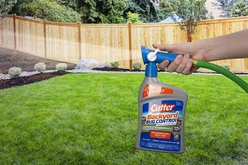 Лучшие средства от клещей