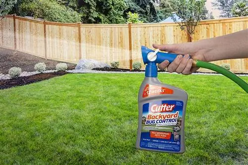 Лучшие средства от клещей для защиты от укусов