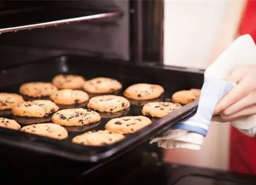 что такое конвекционная печь