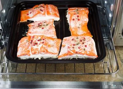 что такое конвекционная печь