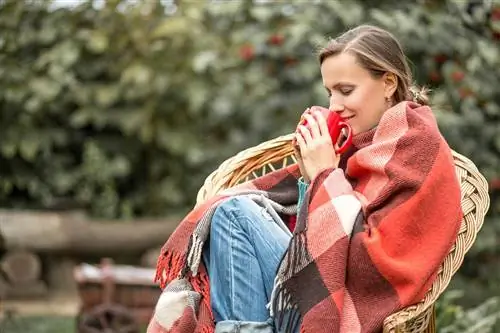 Лучшие одеяла для дома