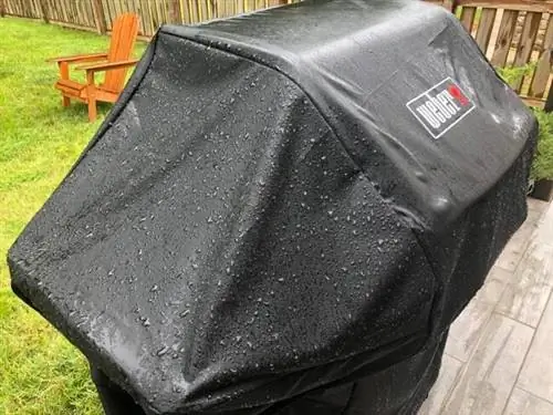 Крышка Weber Grill против тропического шторма Эльза