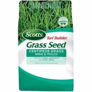 Лучшая трава для песчаной почвы: Scotts Turf Builder Centipede Grass Seed and Mulch