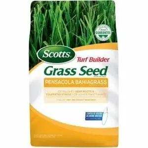 Лучшая трава для песчаной почвы: Scotts Turf Builder Grass Seed Pensacola Bahiagrass