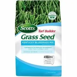 Лучший вариант семян мятлика Кентукки: Scotts Turf Builder Grass Seed Kentucky Bluegrass Mix
