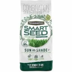 Лучший вариант семян мятлика Кентукки: Pennington Smart Seed Sun and Shade Grass Seed