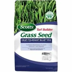 Лучший вариант семян мятлика Кентукки: Scotts Turf Builder Grass Seed Heat-Tolerant Blue Mix