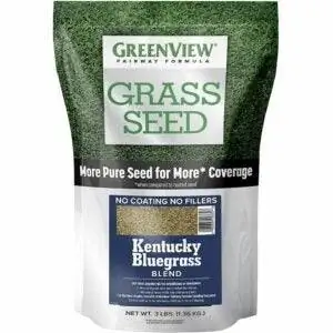 Лучший вариант семян мятлика Кентукки: GreenView 2829352 Семена мятлика Кентукки смесь травы