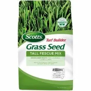 Лучший вариант семян высокой травы овсяницы: Scotts Turf Builder Grass Seed Tall Fescue Mix 7 фунтов.