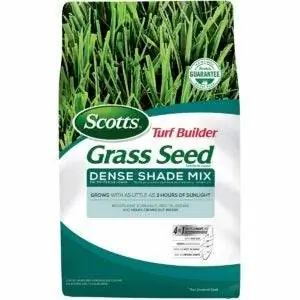 Лучший вариант семян высокой травы овсяницы: Scotts Turf Builder Grass Seed Dense Shade Mix