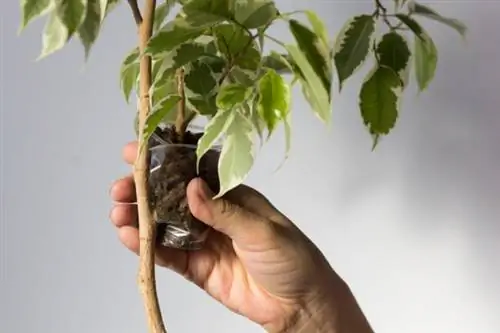 воздушные отводки