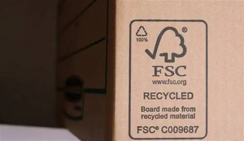 Что такое FSC-сертифицированная древесина и стоит ли ее покупать?